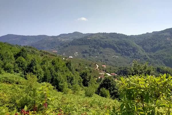 Çiftlik Köyü - Müze - Samsun Atakum
