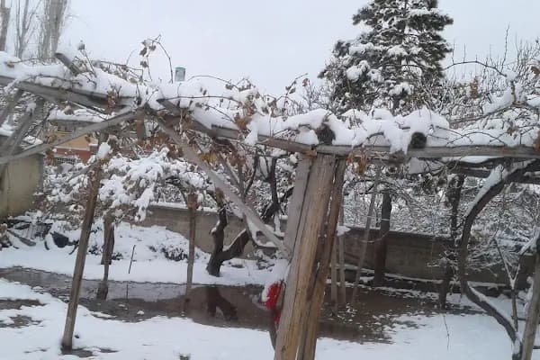 Çocuk Bahçesi - Park - Konya Selçuklu