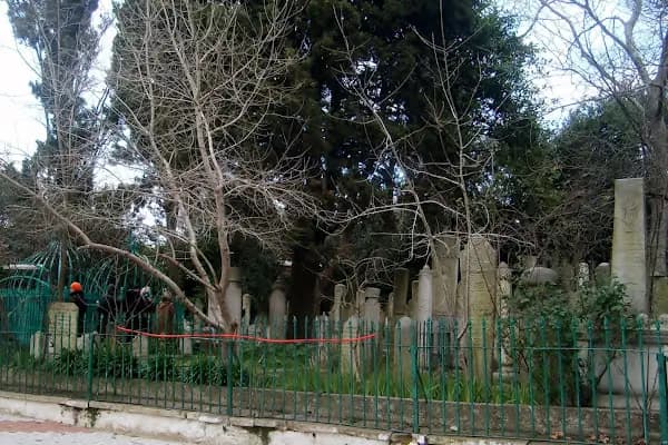 Selami Baba Türbesi - Tarihi Yer - İstanbul Adalar