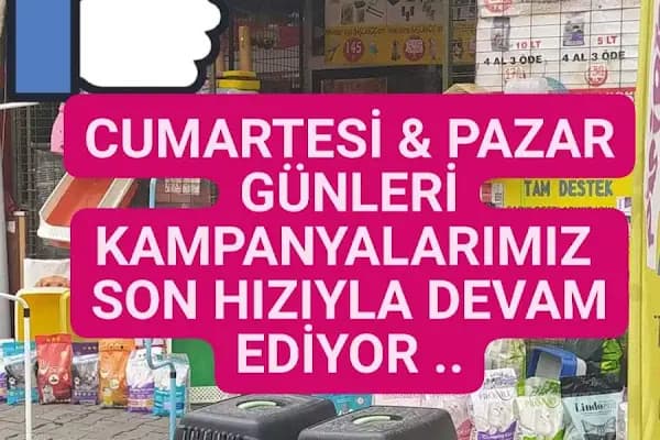ÇANTAY AKVARYUM PETCİTY - Kuşçu - Balıkesir Edremit