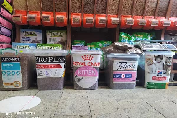 CEMRE PETSHOP - Akvaryum Mağazası - Ankara Etimesgut