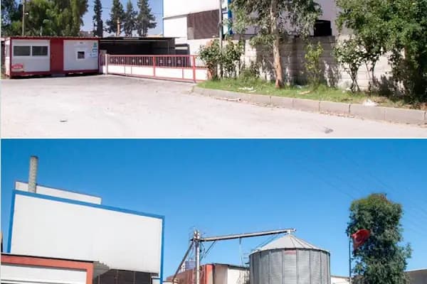 HASAN SAYGI BULGUR - Gıda Ürünleri Tedarikçisi - Gaziantep İslahiye