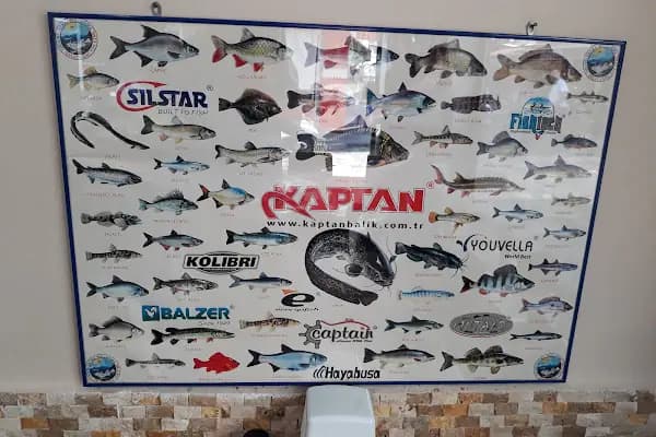 Yakamoz Balık Lokantası - Balık Restoranı - Bursa Gemlik