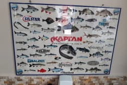 Yakamoz Balık Lokantası