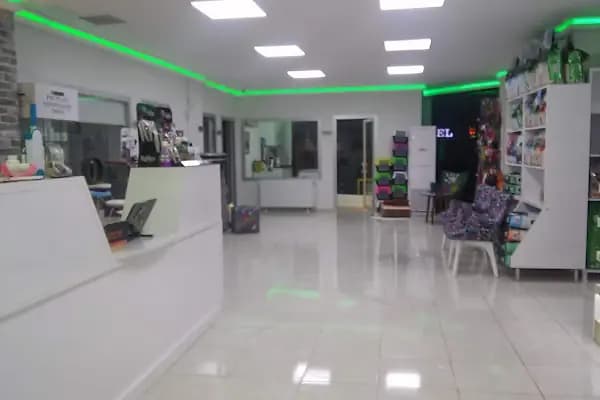 ARTEMİS VETERİNER KLİNİĞİ - Hayvan Hastanesi - Adana İmamoğlu