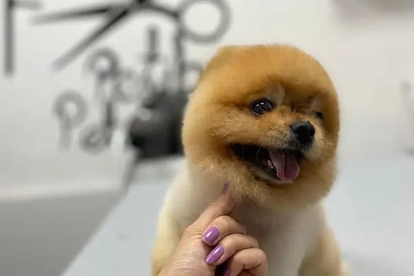 TANER AK KADIN &amp; ERKEK KUAFÖR SALONU &amp; Solarium &amp; microkaynak&amp;lazer epilasyon - Kuaför - İstanbul Bahçelievler