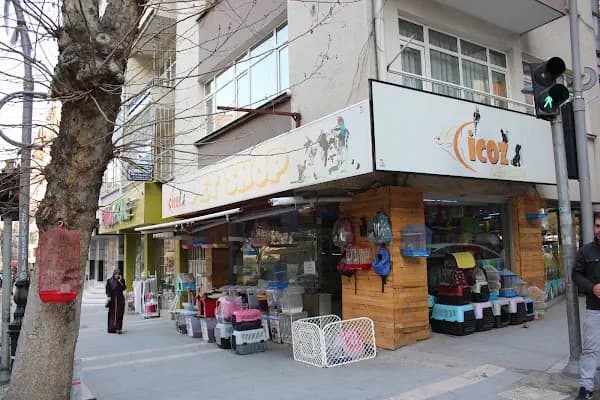 CİCOZ PETSHOP - Evcil hayvan mağazası - Malatya Battalgazi