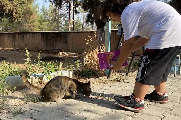 Salkım Jandarma Karakol Komutanlığı - Askeri Üs - Gaziantep Karkamış