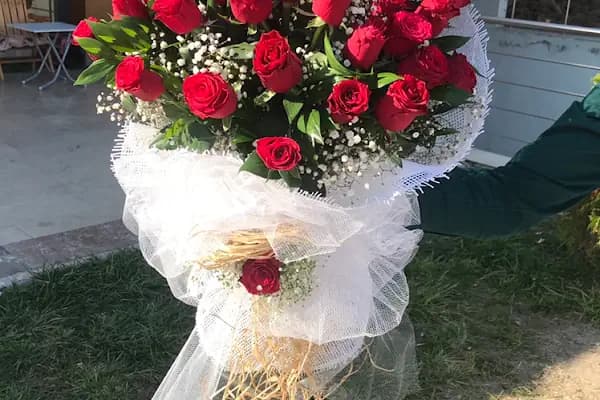 Aslıhan Çiçekçilik Etimesgut - Çiçekçi - Ankara Sincan
