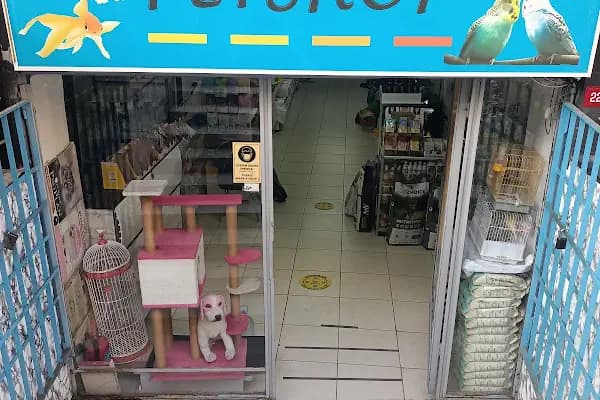 Kartal Petshop - Evcil hayvan mağazası - İstanbul Tuzla