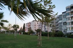 Brave Otel - Çitari Balık