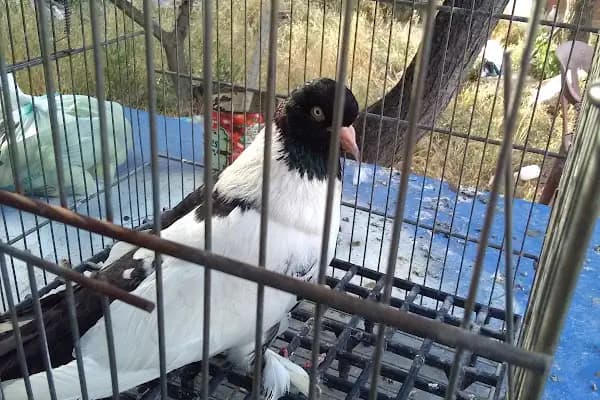 Çocuk Parkı - Park - Manisa Akhisar