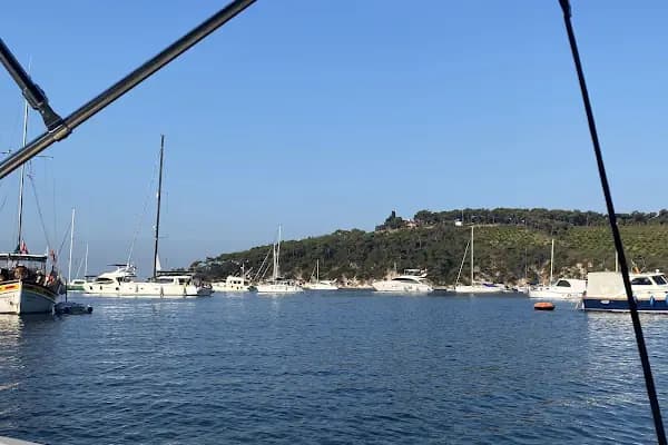 Çam Limanı - Otobüs Durağı - İstanbul Arnavutköy