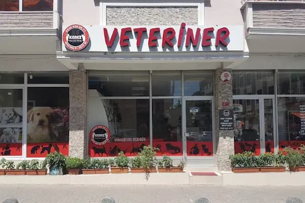 Kenez Veteriner Kliniği - Veteriner - İstanbul Avcılar