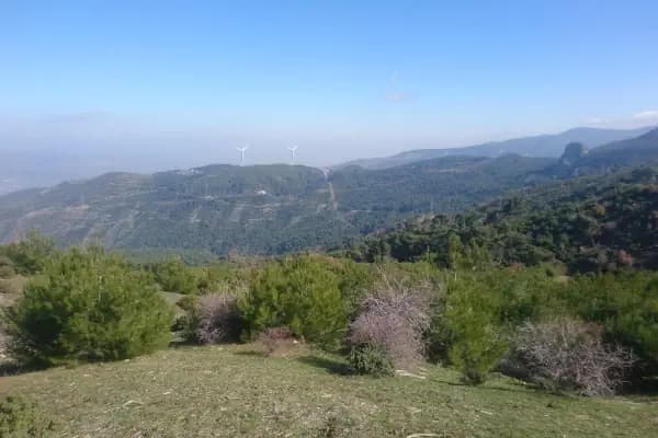 Yamanlardağı Tabiat Parkı - Milli Park - İzmir Bornova