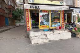 Seda Akvaryum &amp; Pet Shop