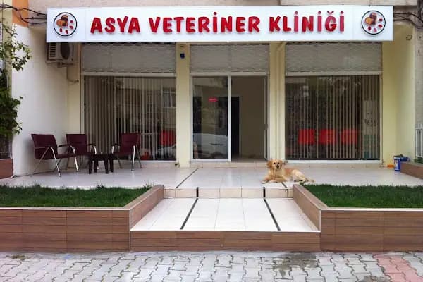 Asya Veteriner Kliniği - Veteriner - İzmir Bornova