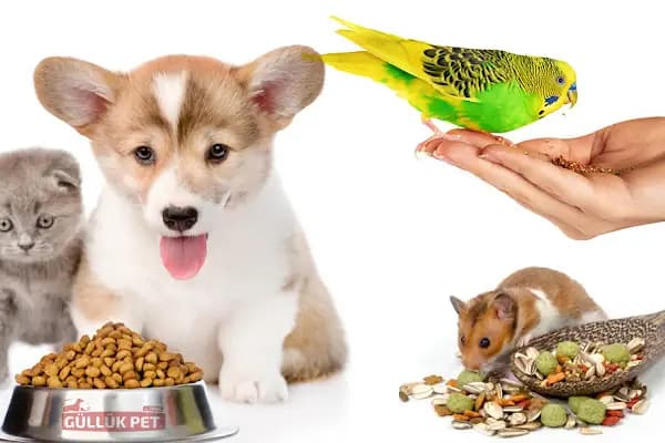 GüllükPet Toptan Petshop Malzemeleri Antalya - Evcil Hayvan Malzemeleri Mağazası - Antalya Muratpaşa