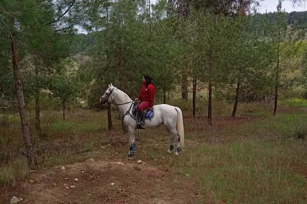 Mersin Doğa At Çiftliği - At Binme Hizmeti - Mersin Toroslar