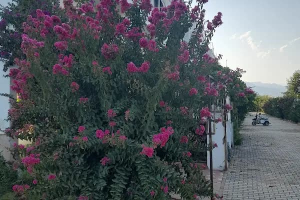 Altınçay Tatil Sitesi - Konut Geliştirme - Mersin Akdeniz