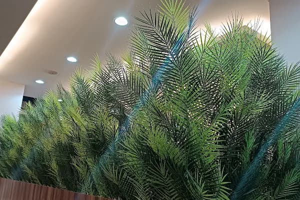 Adana Masaj Salonu ADİOS Spa Masöz Hamam Sauna - Masaj Uzmanı - Adana Seyhan