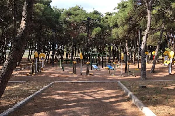 Hatıra Ormanı - Park - Balıkesir Bandırma