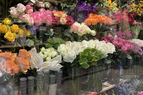 Diva Çiçek Güngören - Flowers Shop - Çiçekçi - İstanbul Üsküdar