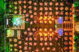 OBA OLİVE GARDEN