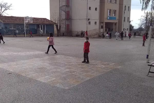 Zeytinova İlköğretim Okulu - Okul - İzmir Bayındır