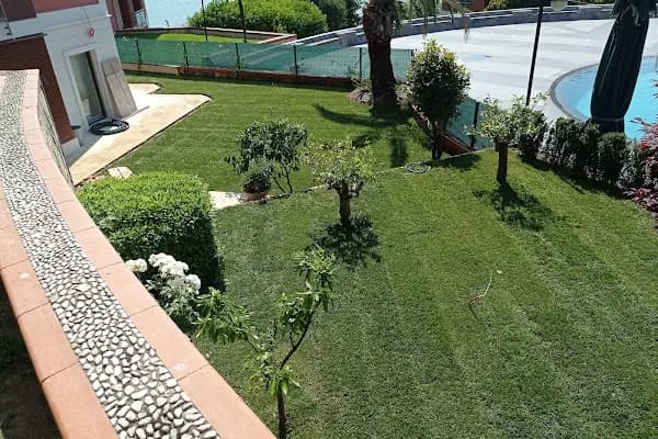 Birlik Rulo Çim (Hazır Rulo Çim Üretici Firma) - Peyzaj Malzemeleri Satıcısı - İstanbul Esenler
