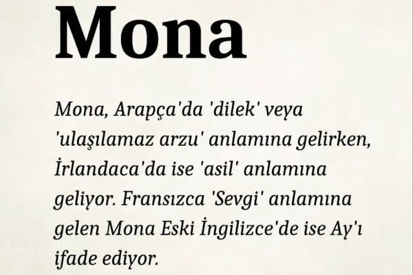 MONA Veteriner Kliniği - Veteriner - Konya Selçuklu