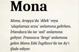 MONA Veteriner Kliniği