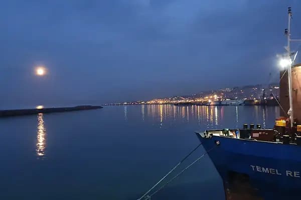 TrabzonPort - Liman İdaresi - Trabzon Akçaabat