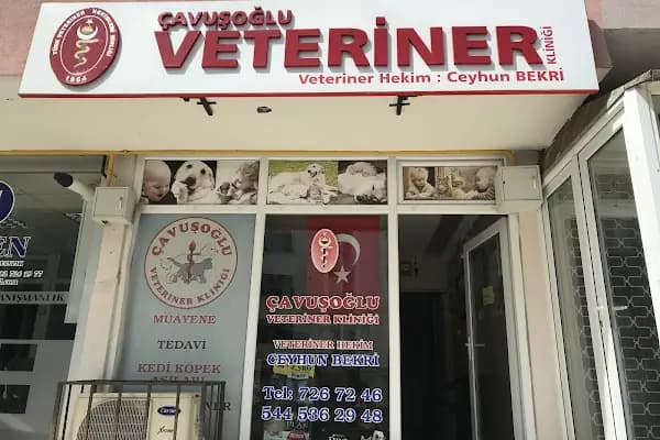 ÇAVUŞOĞLU VETERİNER KLİNİĞİ - Veteriner - Tekirdağ Çerkezköy