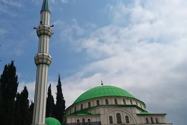 Bozdoğan Köyü Cami - Dini Kurum - Trabzon Ortahisar