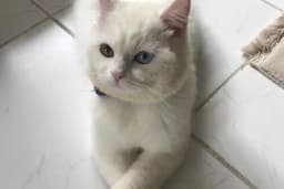 BAĞBAŞI VETERİNER KLİNİĞİ