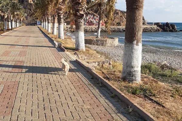 HUZUR PANSİYON - Doğa Köşkü - Mersin Anamur