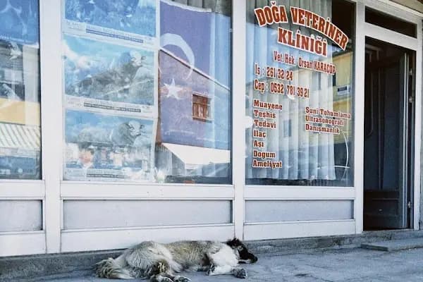 Doğa Veteriner Kliniği - Veteriner - Kars Kars Merkez