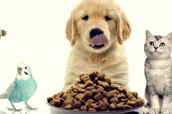 Vetpol Veteriner Kliniği - Veteriner - Denizli Pamukkale