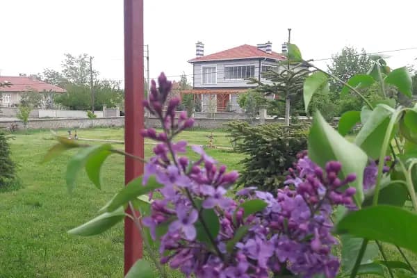 Mimar Kardeşler Etli Pide Fırını - Pideci - Konya Akşehir