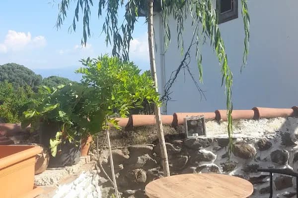 İzzet Efendi zekiye hanım pansiyon taş konak birgi. - Otel - İzmir Bornova