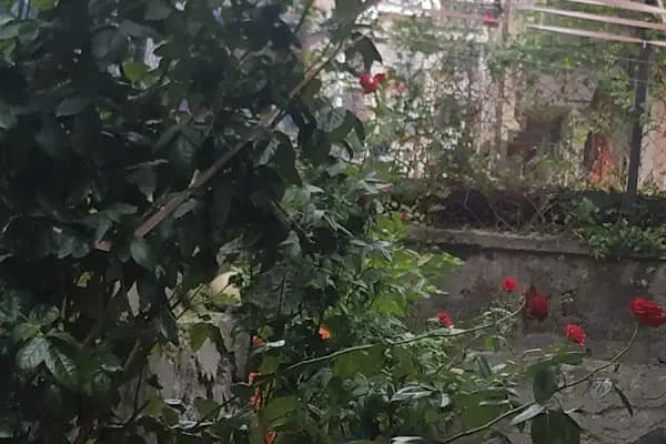Bayramoğlu Sitesi - Apartman Kompleksi - İstanbul Beylikdüzü