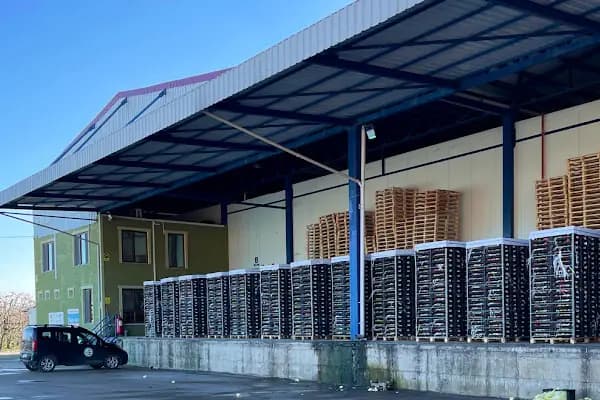 HACIBEY SULTAN İTHALAT İHRACAT TİC LTD ŞTİ - Soğuk Hava Deposu Tesisi - Bursa Gemlik