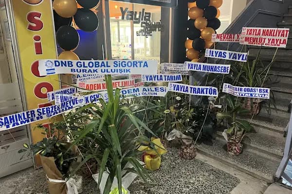 Sultan Pansiyon &amp; Oto Çekici, Vinç, Oto Kiralama - Kat Hizmeti Sunulan Konaklama - Konya Selçuklu