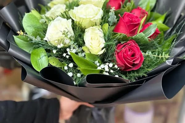 Kaktüs flowers - Çiçekçi - Van Edremit
