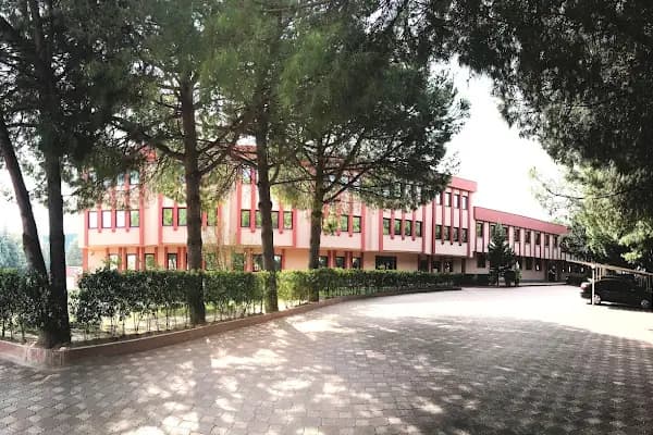 Estu Brode - Üretici - Bursa Gürsu