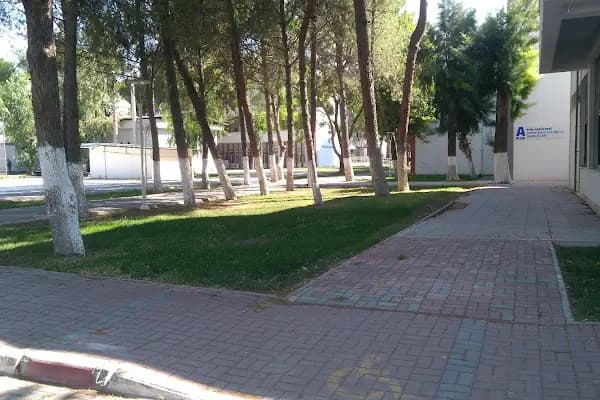 Ege Üniversitesi Öğrenci İşleri Daire Başkanlığı - Devlet Üniversitesi - İzmir Buca