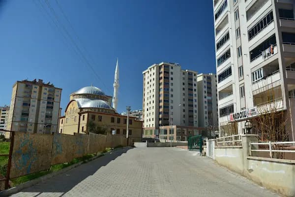 ANADOLU SANAT MERKEZİ - Müzik aletleri mağazası - Kahramanmaraş Afşin