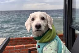 PetGuardians Veteriner Kliniği