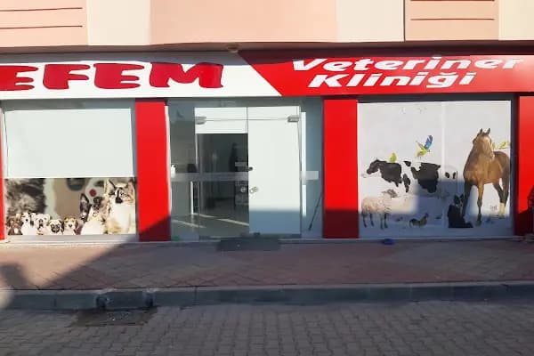 Efem Veteriner Kliniği - Veteriner - Muğla Dalaman